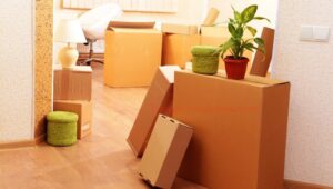 Packers and Movers Balewadi Pune