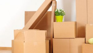 Household and Commercial Packing Service In Pune